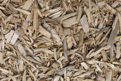 biomass boilers Nidd